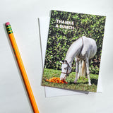 Thanks A Bunch Greeting Card