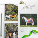 All Occasion Greeting Card Set