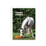 Thanks A Bunch Greeting Card